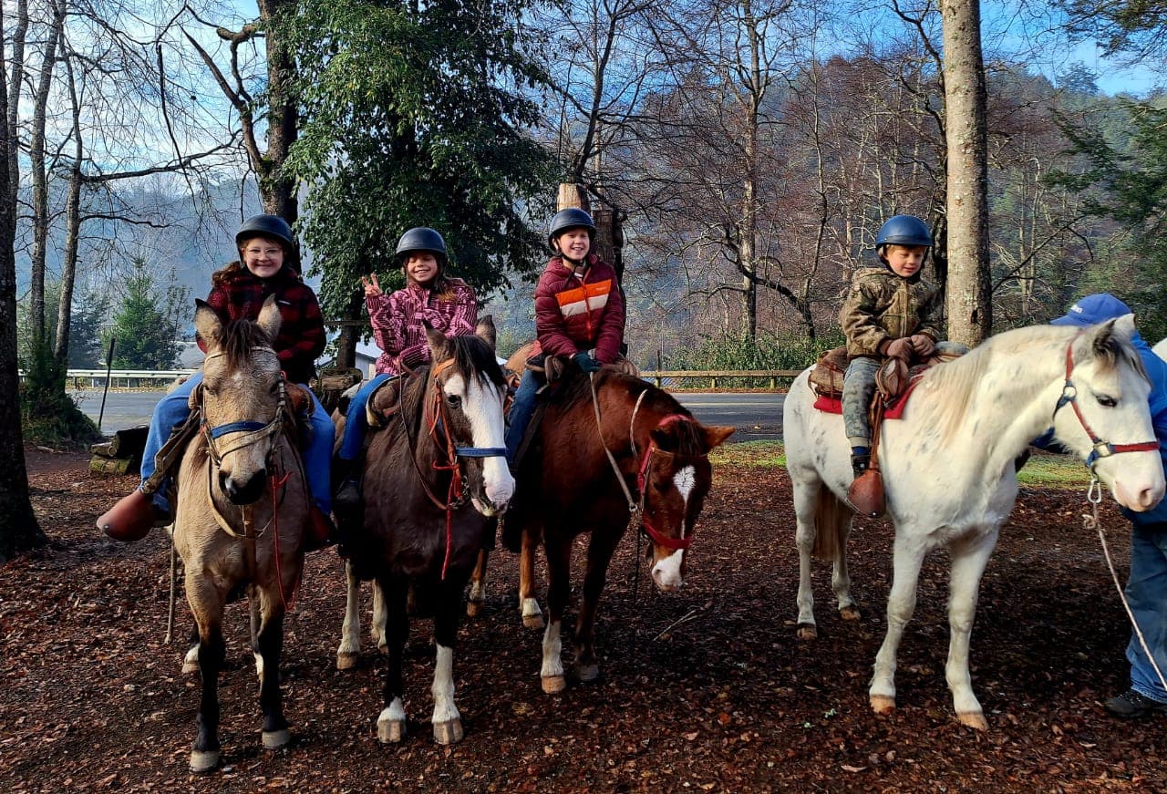 Imágenes del servicio de Horseback Riding Expedition en Panguipulli, imagen 2