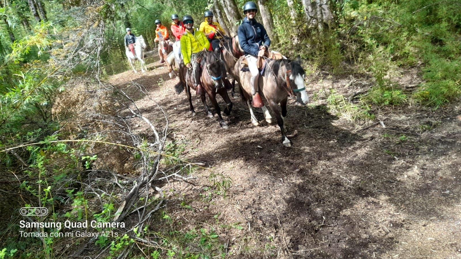 Imágenes del servicio de Horseback Riding Expedition en Panguipulli, imagen 3