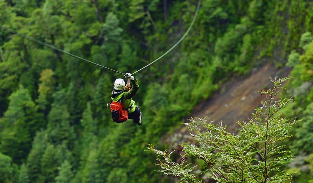 Servicio de Canopy: Fly Over the Heart of the Forest! en Panguipulli