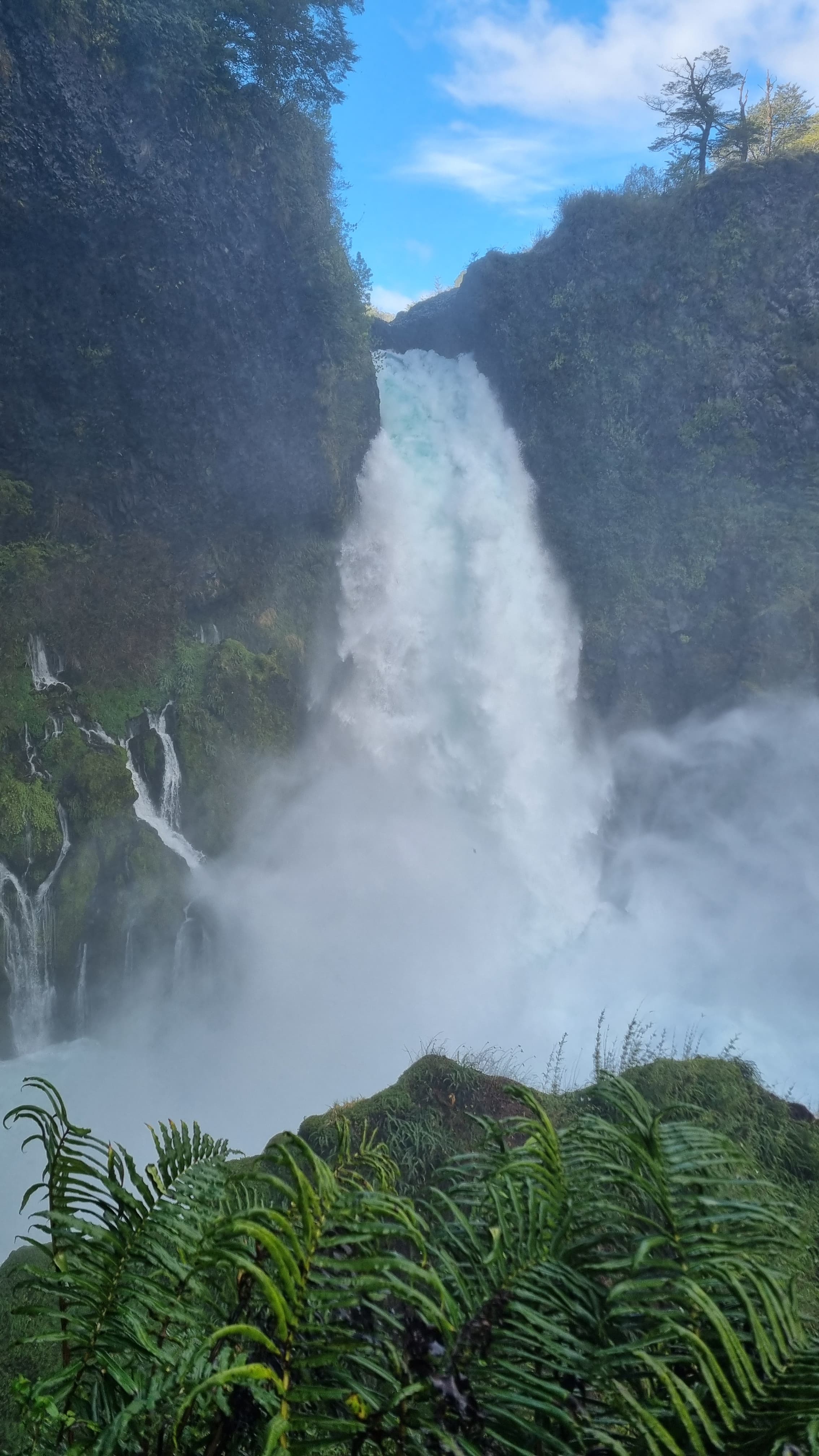 Imágenes del servicio de Mountain Hiking en Panguipulli, imagen 2