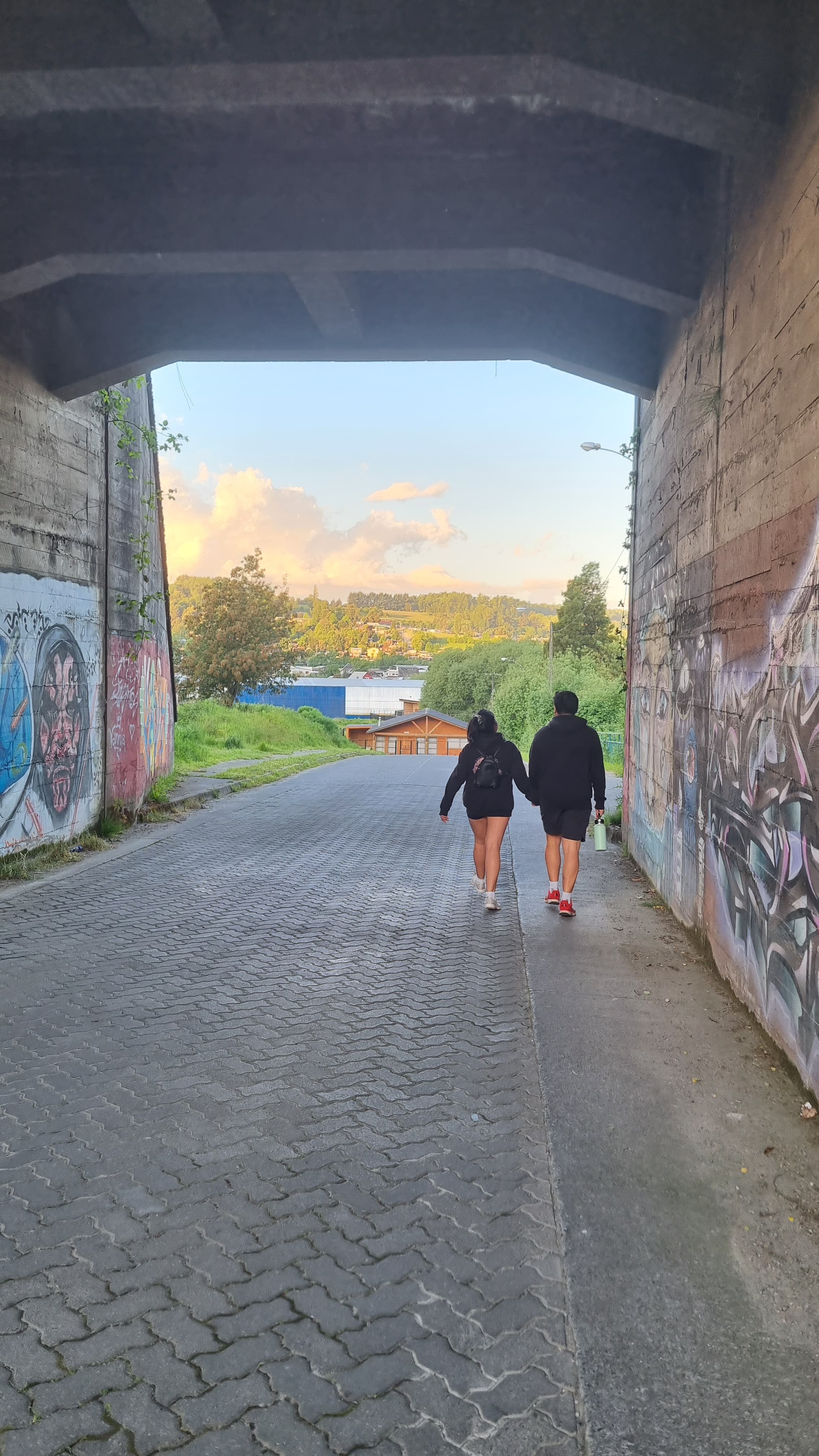 Imágenes del servicio de City and Surroundings Tour en Panguipulli, imagen 4